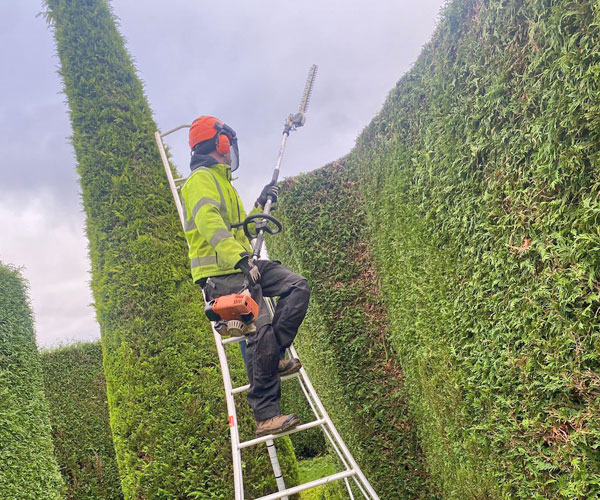 hedge-cutting-services_topsham Hedge Cutting Services Topsham