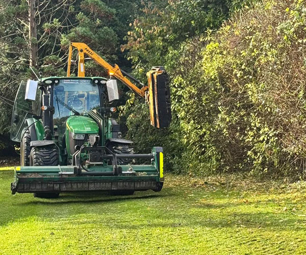 hedge-cutting_services-topsham Hedge Cutting Services Topsham