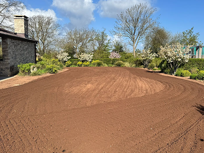 Large Lawn Seeding Devon