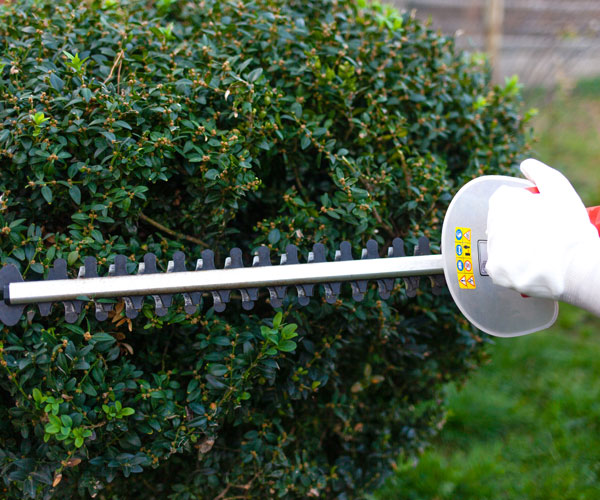 hedge-cutting_services-exmouth Hedge Cutting Services Exmouth