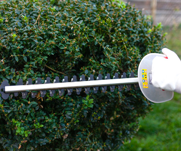 hedge_cutting-services_seaton