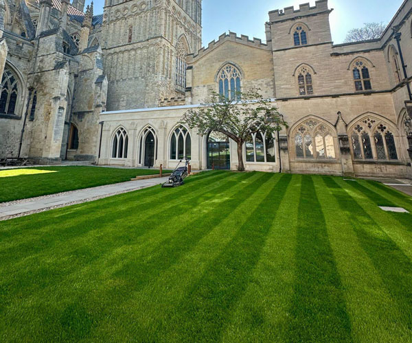 lawn_turf-laying-exmouth Lawn Turf Laying Exmouth