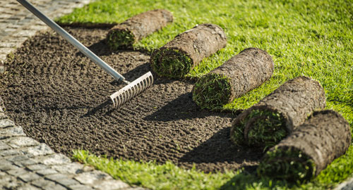 turf-laying-exeter Turf Laying Exeter
