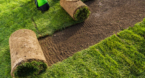 turf-laying_exeter Turf Laying Exeter