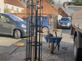 Tree-Planting-Exeter