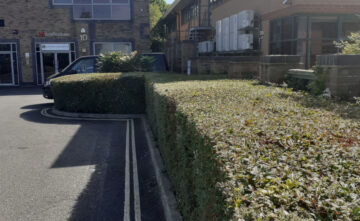 hedge-cutting-exeter Hedge Cutting Exeter