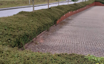 hedge-cutting-service-exeter-devon Hedge Cutting Service Exeter Devon