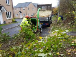 hedge-removal-exeter-devon Hedge Removal Exeter Devon