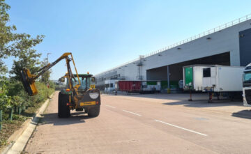hedge-services-east-devon