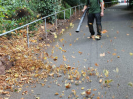 leaf-blowing-exeter Leaf Blowing Exeter