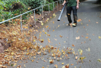 leaf-blowing-exeter Leaf Blowing Exeter