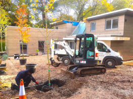 sapling-planting-exeter