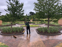 shrub-planting-exeter