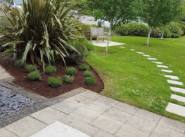 shrub-planting-topsham