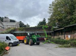 vine-clearance-exeter